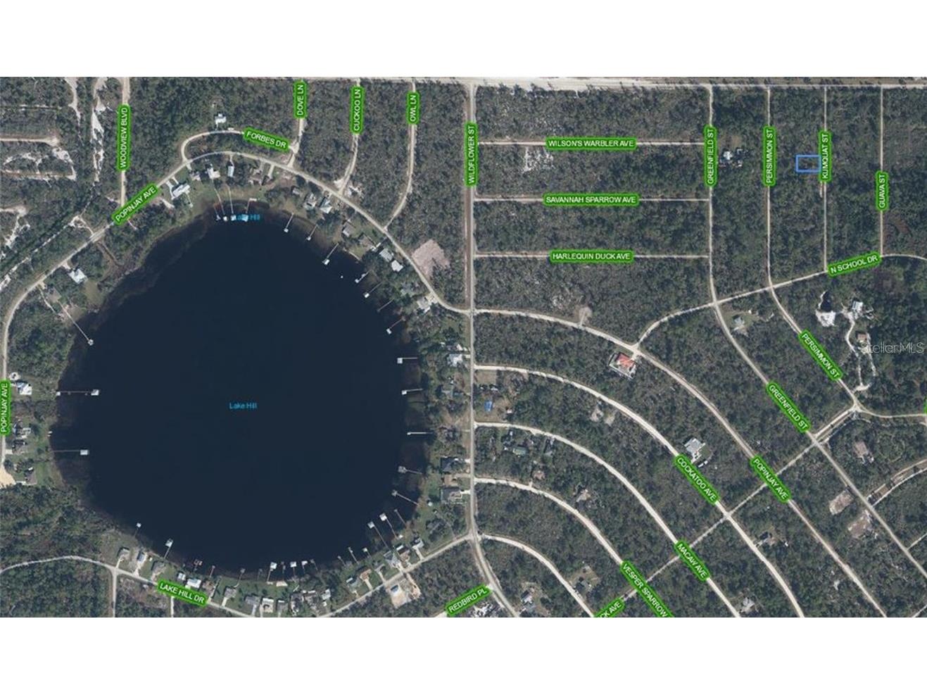 1256 Kumquat Street Lake Placid FL 33852 G5099375 image3