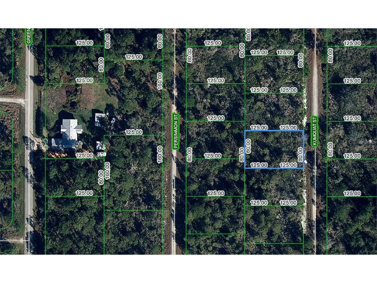 1256 Kumquat Street Lake Placid FL 33852 G5099375 image4