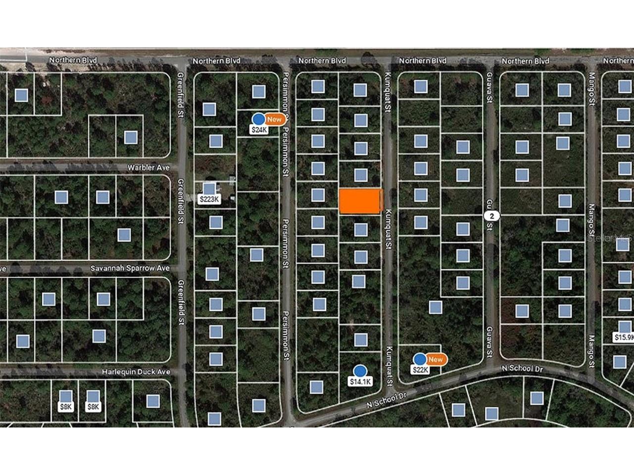 1256 Kumquat Street Lake Placid FL 33852 G5099375 image6