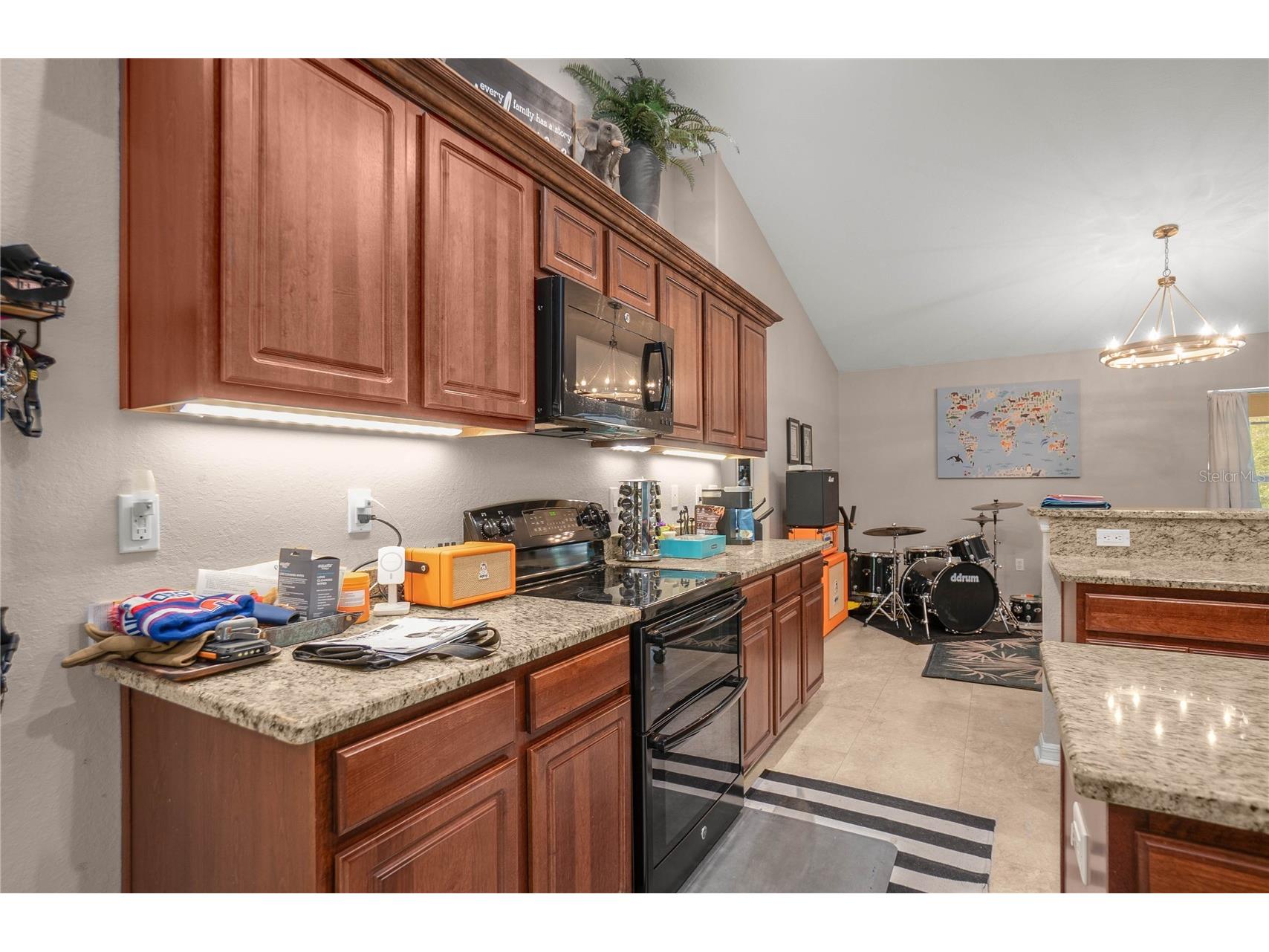 1256 W Sphere Place Beverly Hills FL 34465 OM724169 image21
