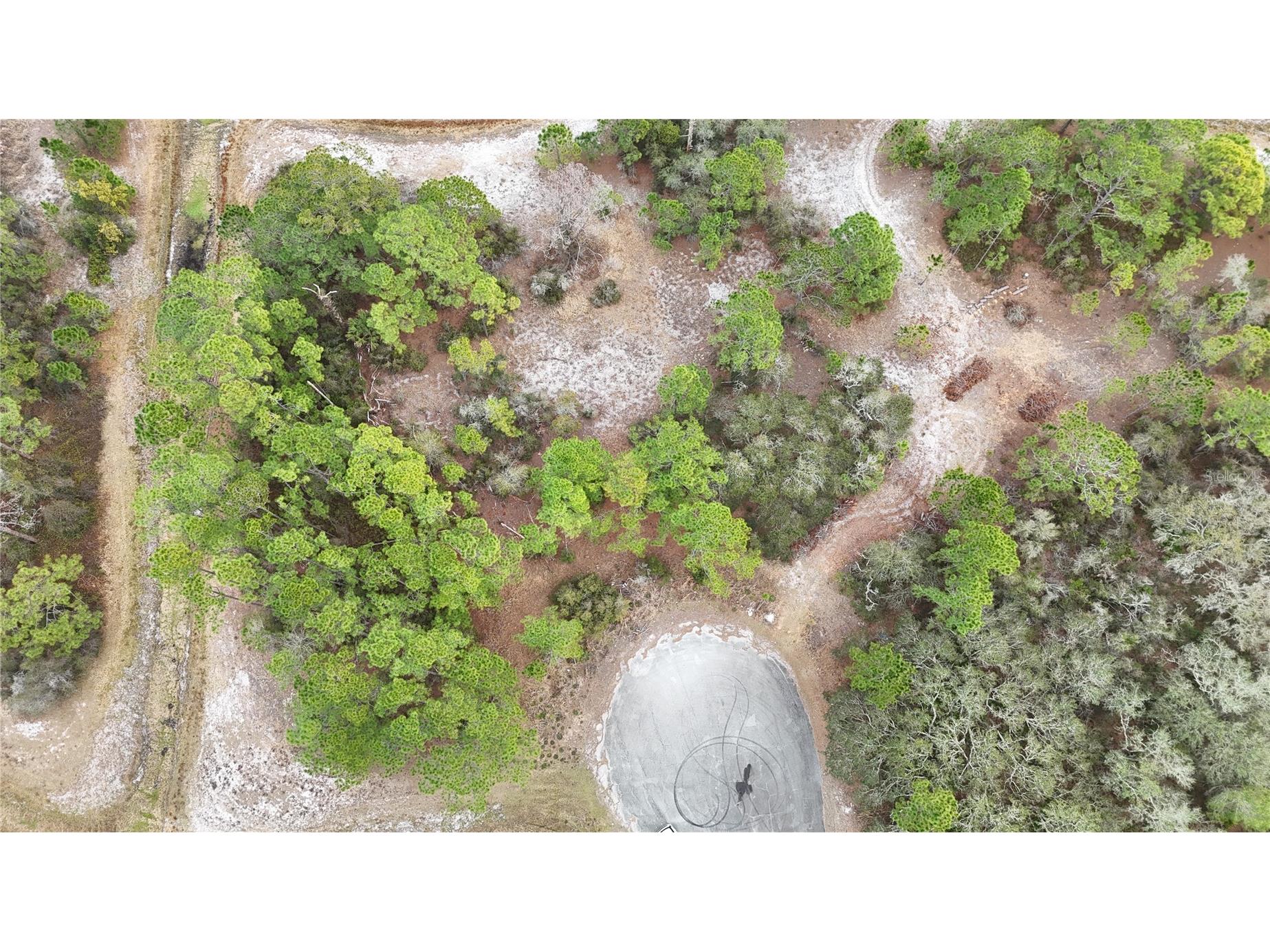 1256 Wahneta Drive Kissimmee FL 34759 O6391396 image10