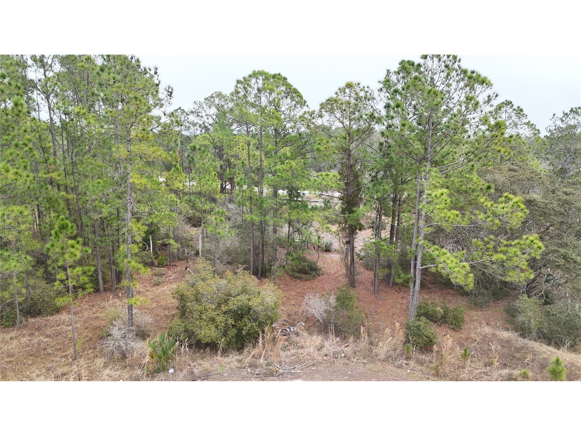 1256 Wahneta Drive Kissimmee FL 34759 O6391396 image2