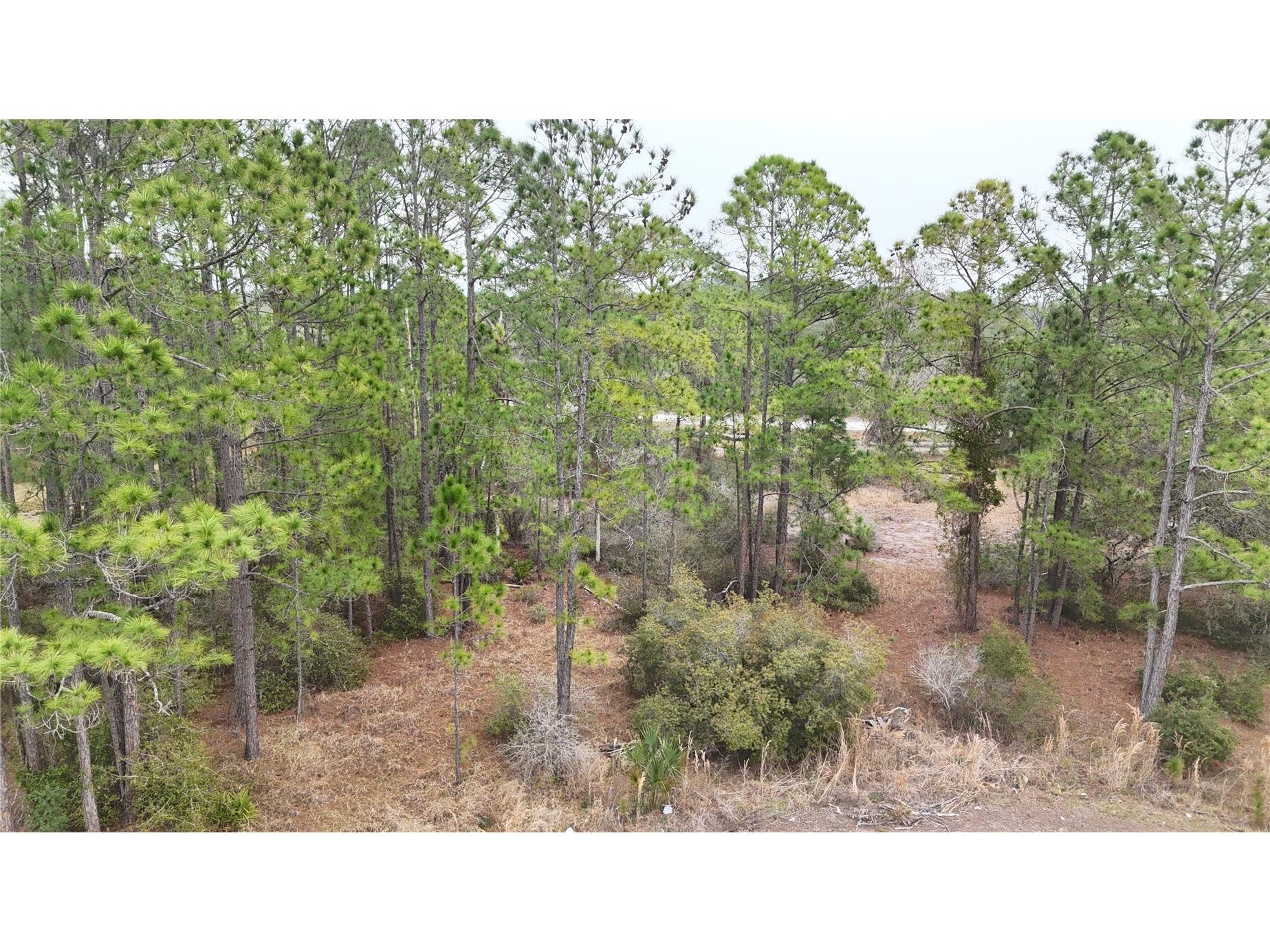 1256 Wahneta Drive Kissimmee FL 34759 O6391396 image3