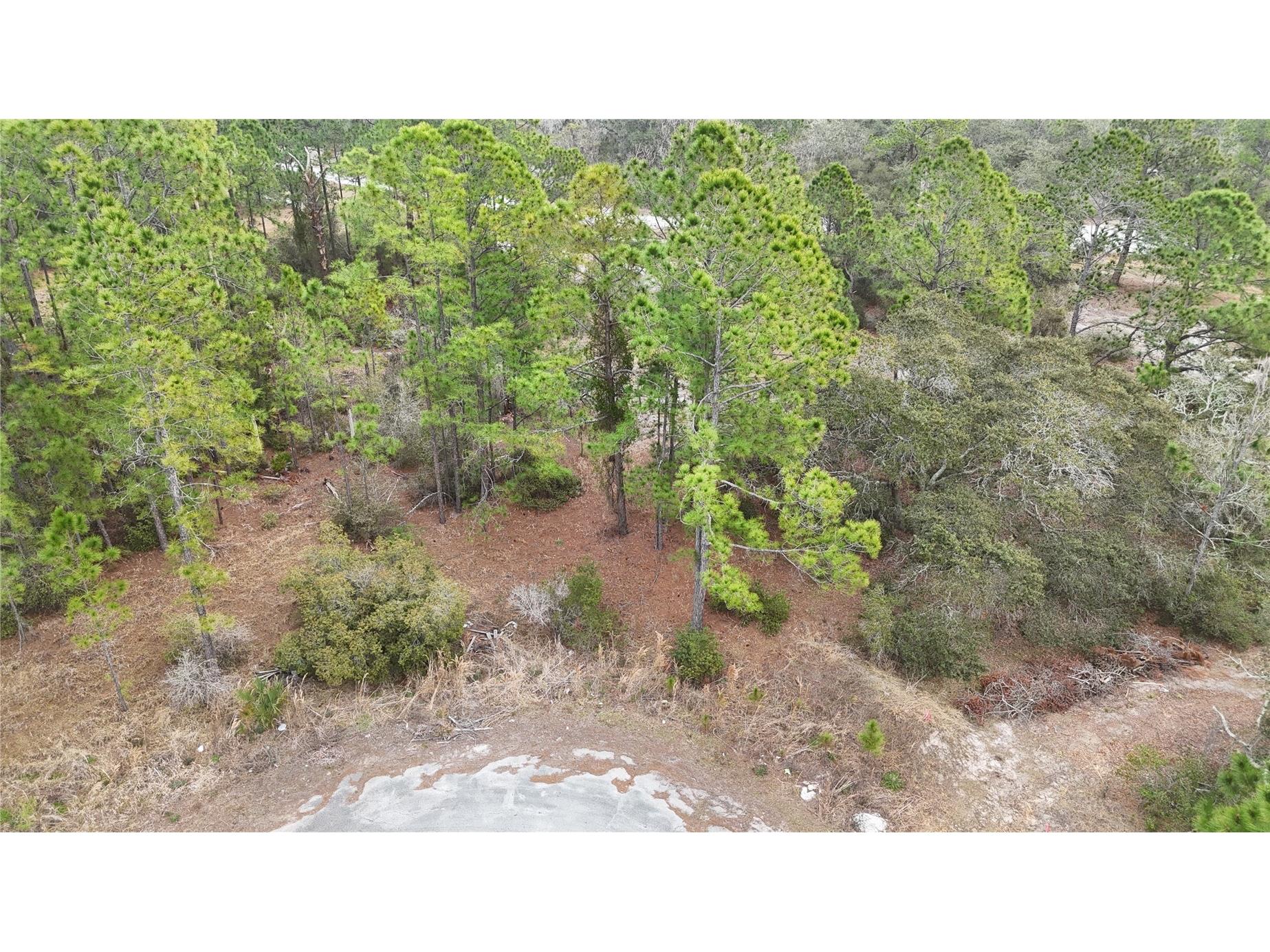 1256 Wahneta Drive Kissimmee FL 34759 O6391396 image4