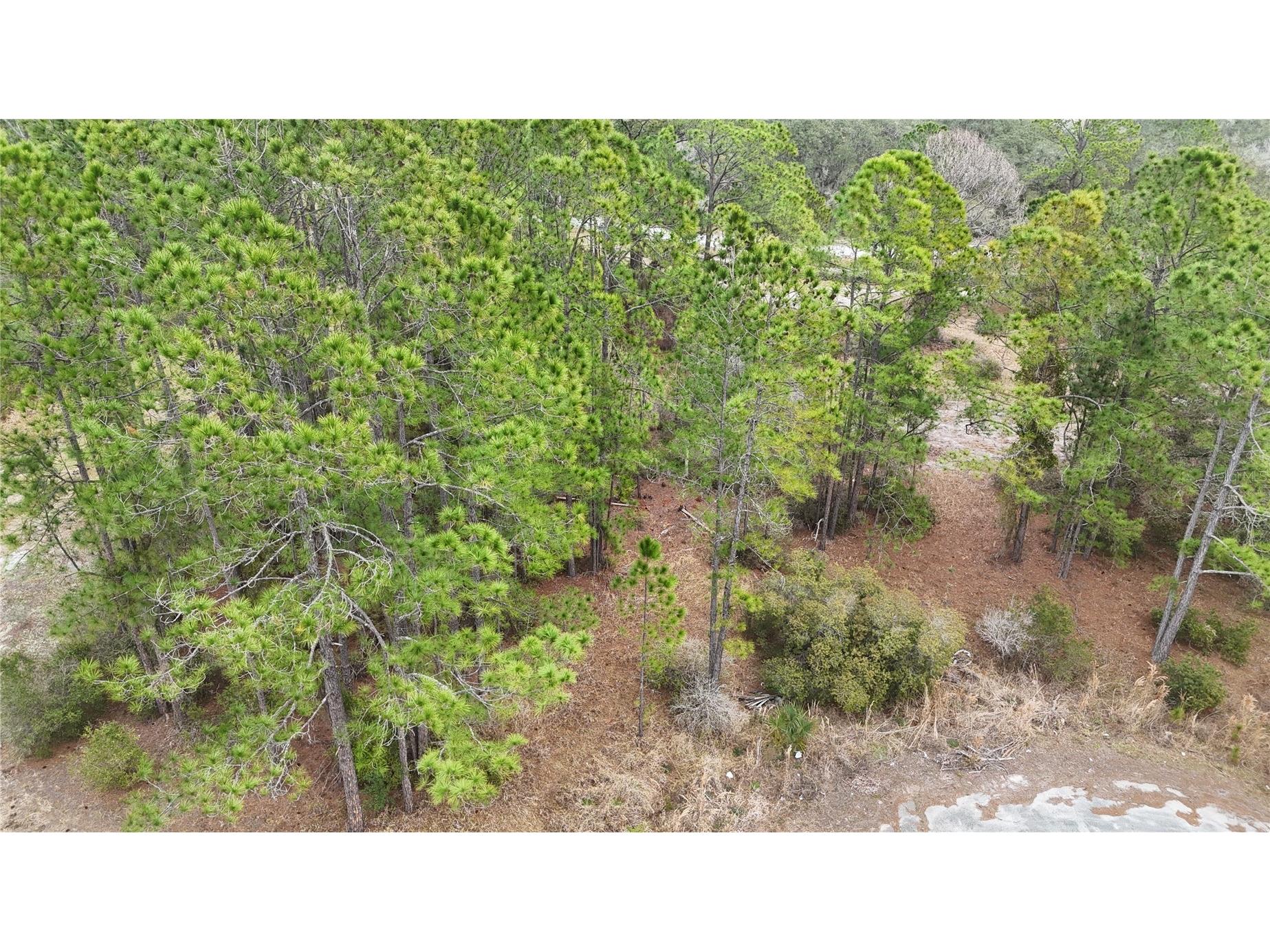 1256 Wahneta Drive Kissimmee FL 34759 O6391396 image6