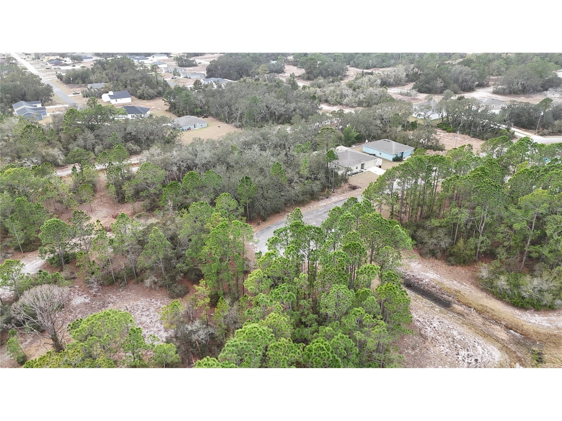 1256 Wahneta Drive Kissimmee FL 34759 O6391396 image7