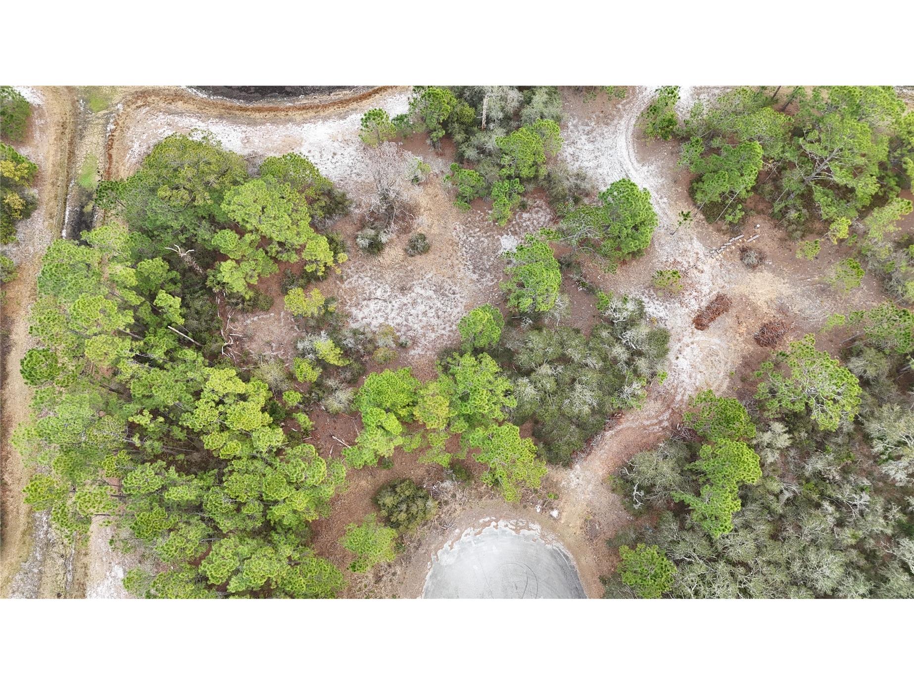 1256 Wahneta Drive Kissimmee FL 34759 O6391396 image9