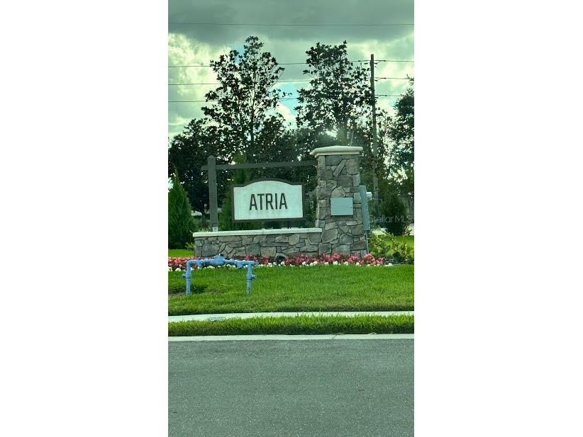 1256 Yellow Finch Drive Davenport FL 33837 S5139564 image2