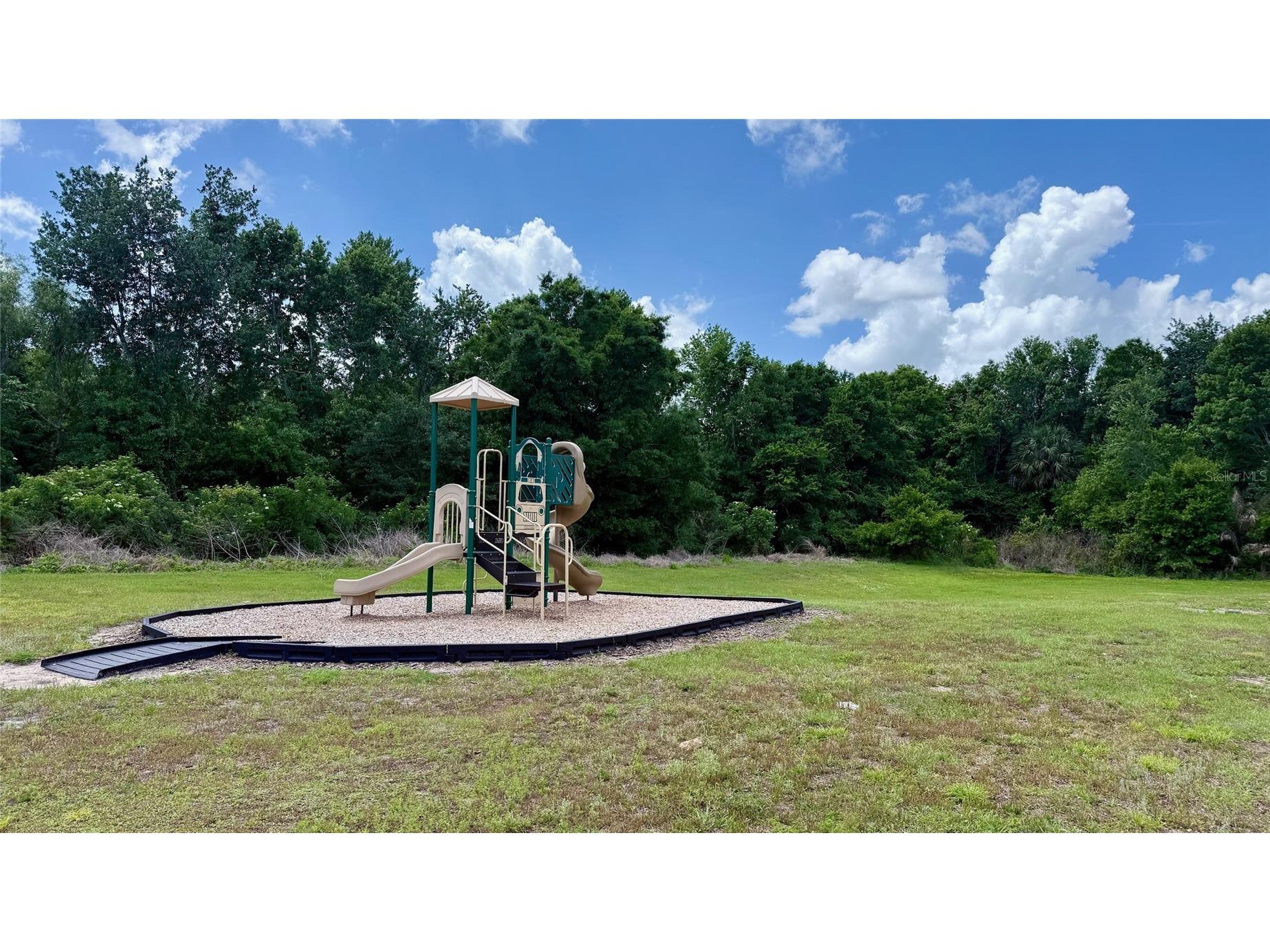 1256 Yellow Finch Drive Davenport FL 33837 S5139564 image28