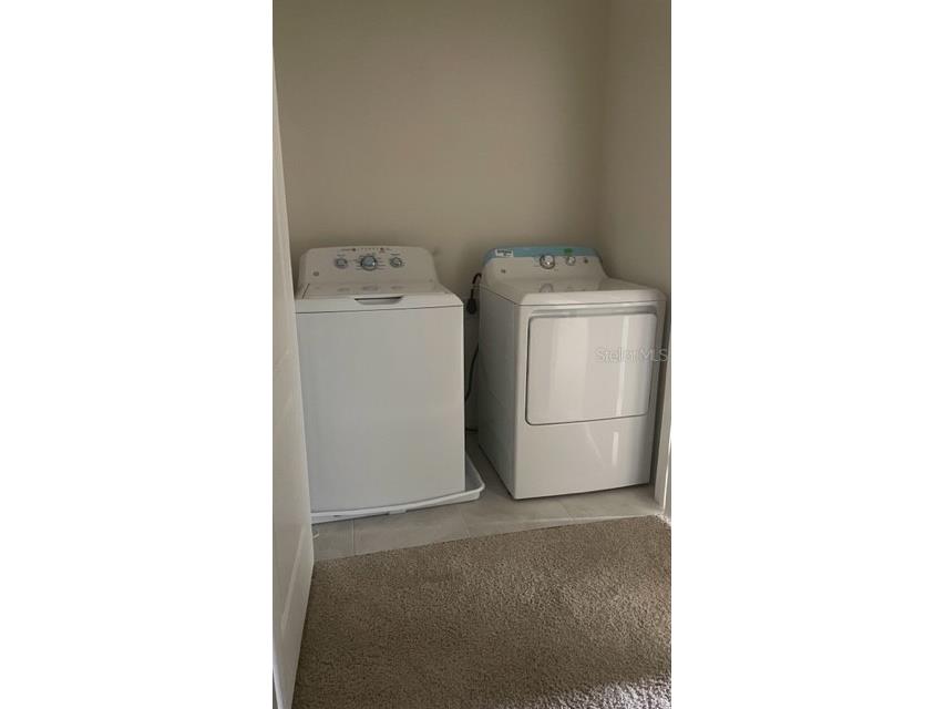 1256 Yellow Finch Drive Davenport FL 33837 S5139564 image4