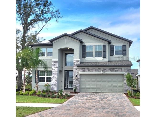 12561 Rosepine Place Riverview FL 33579 T3537914 image1