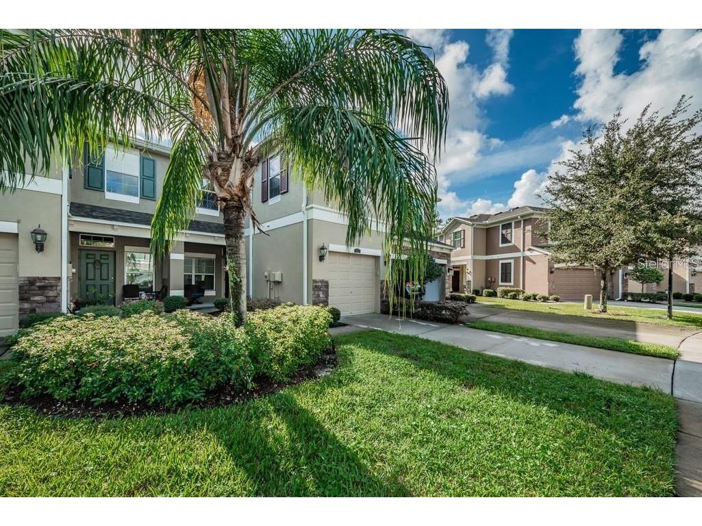 12562 Streamdale Drive Tampa FL 33626 T3486057 image1