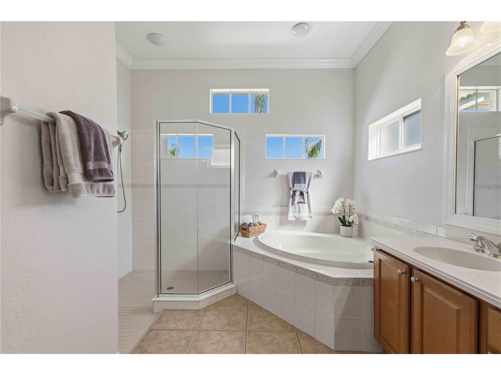 12563 Natureview Circle Bradenton FL 34212 A4688361 image35