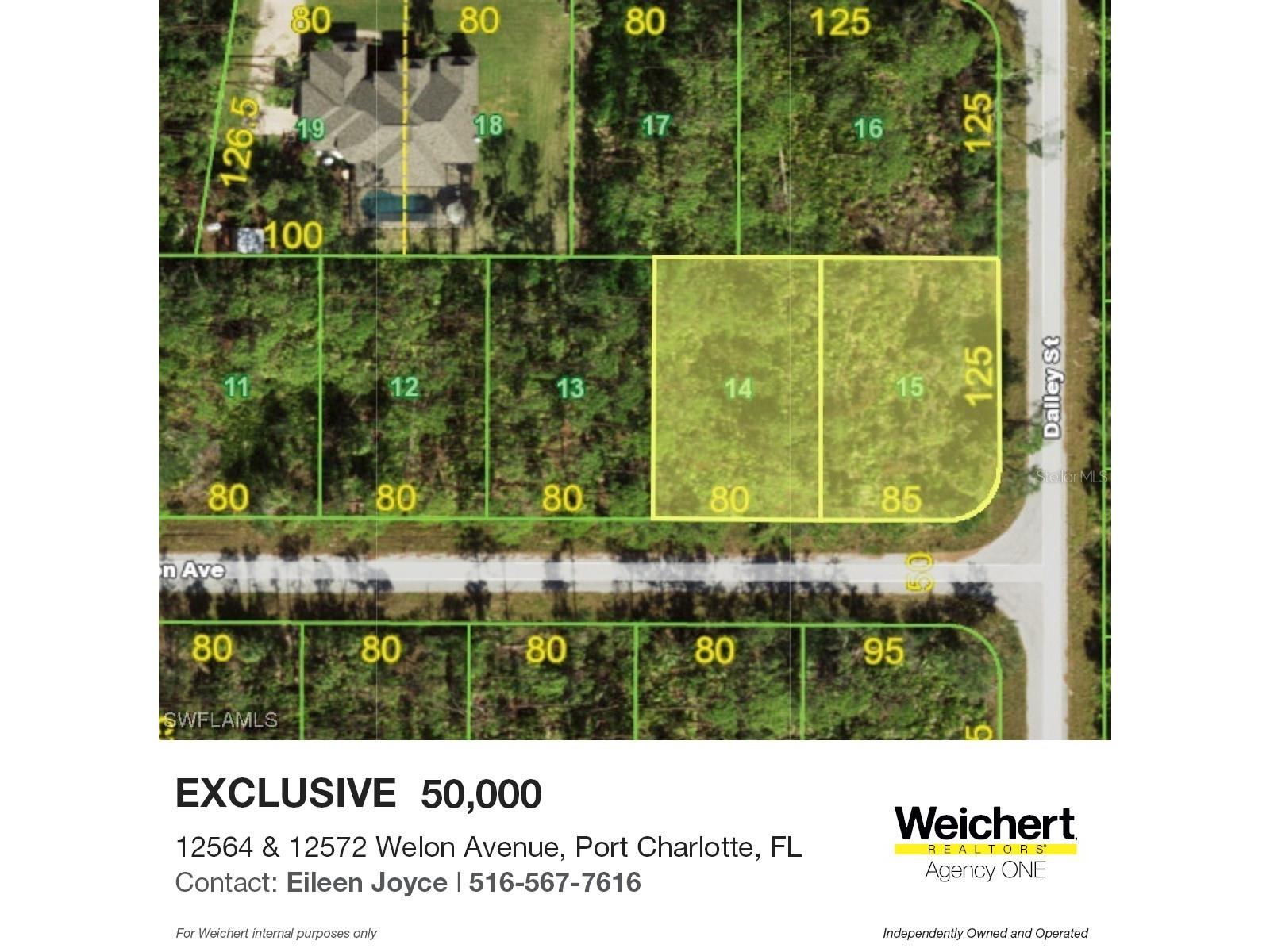 12564 E Welon Avenue Port Charlotte FL 33953 A4682086 image4