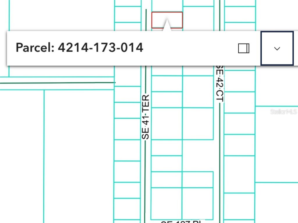 12565 SE 41st Terrace Belleview FL 34420 OM714694 image2