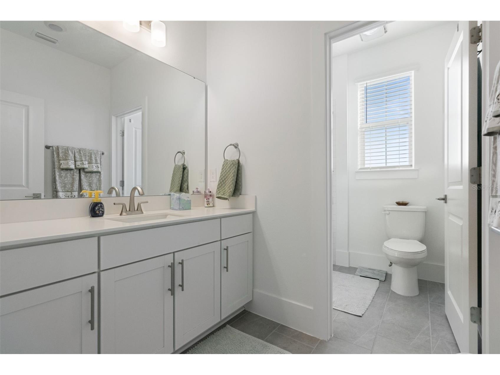 12566 Westhaven Oak Drive Winter Garden FL 34787 O6389532 image18