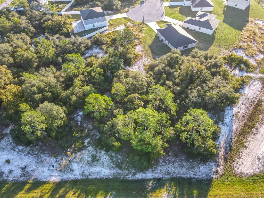 1257 Amazon Lane Kissimmee FL 34759 O6351125 image14