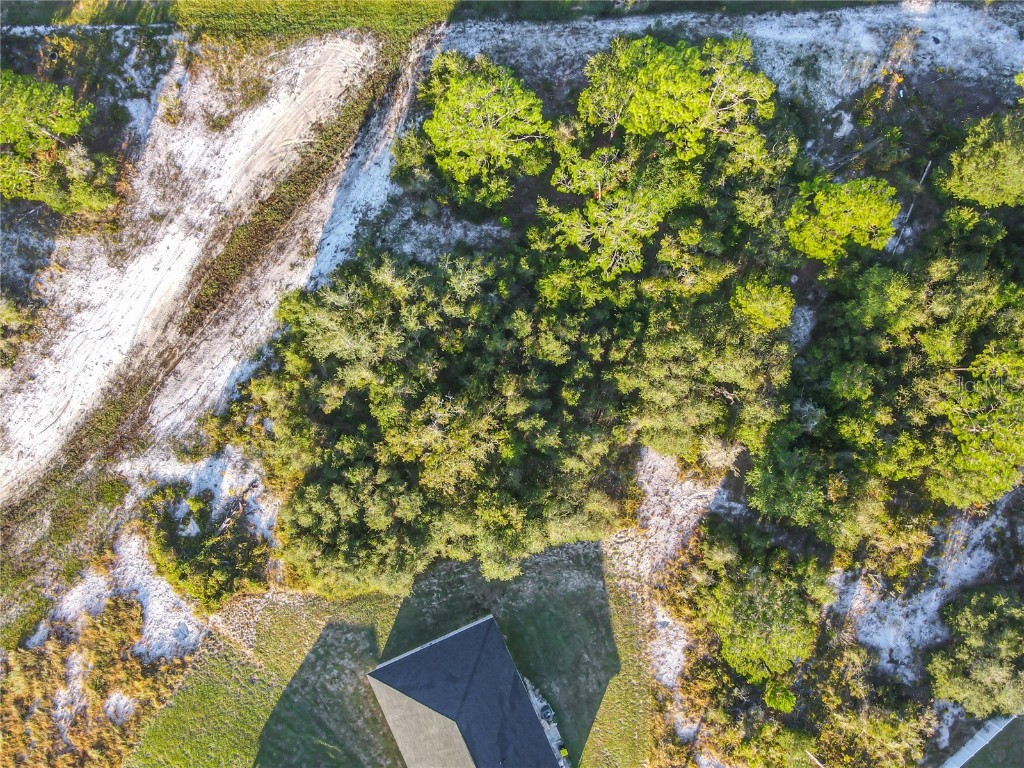 1257 Amazon Lane Kissimmee FL 34759 O6351125 image16