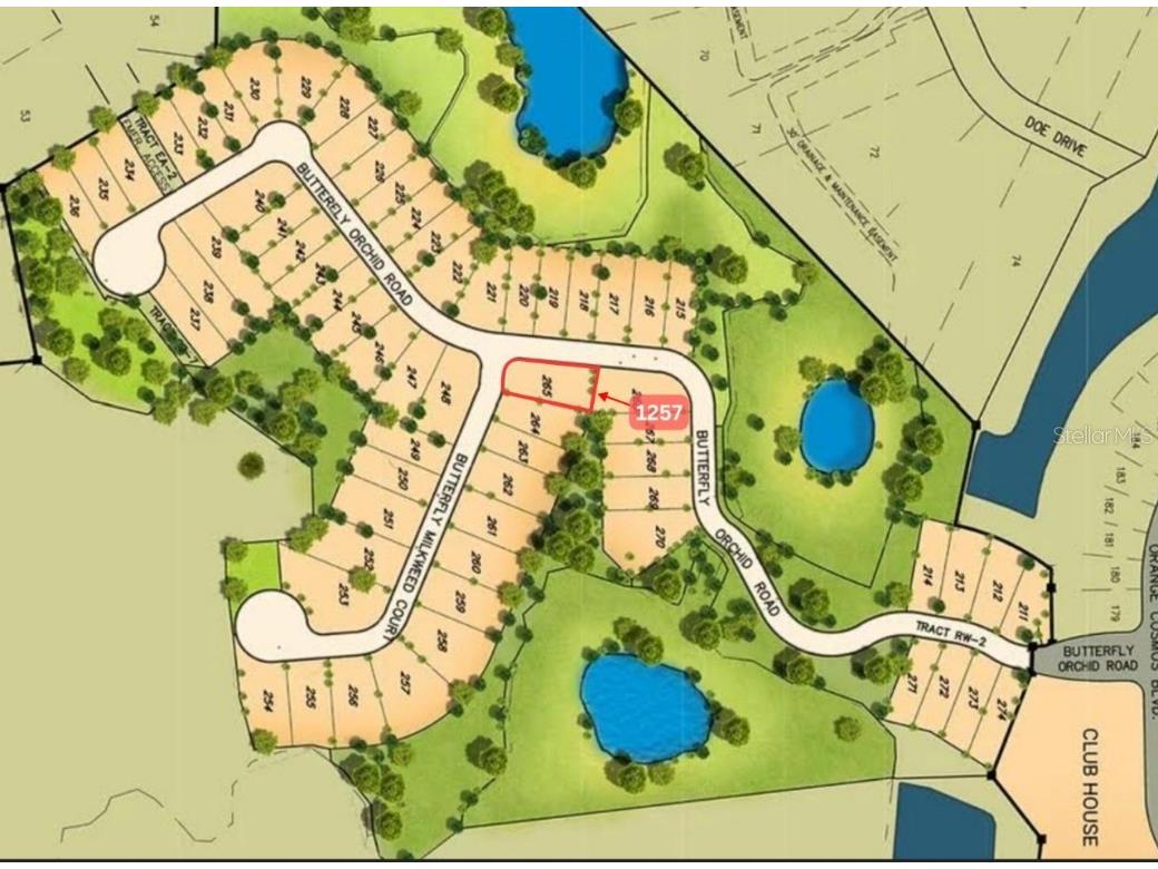 1257 Butterfly Orchid Road Davenport FL 33837 S5132113 image3