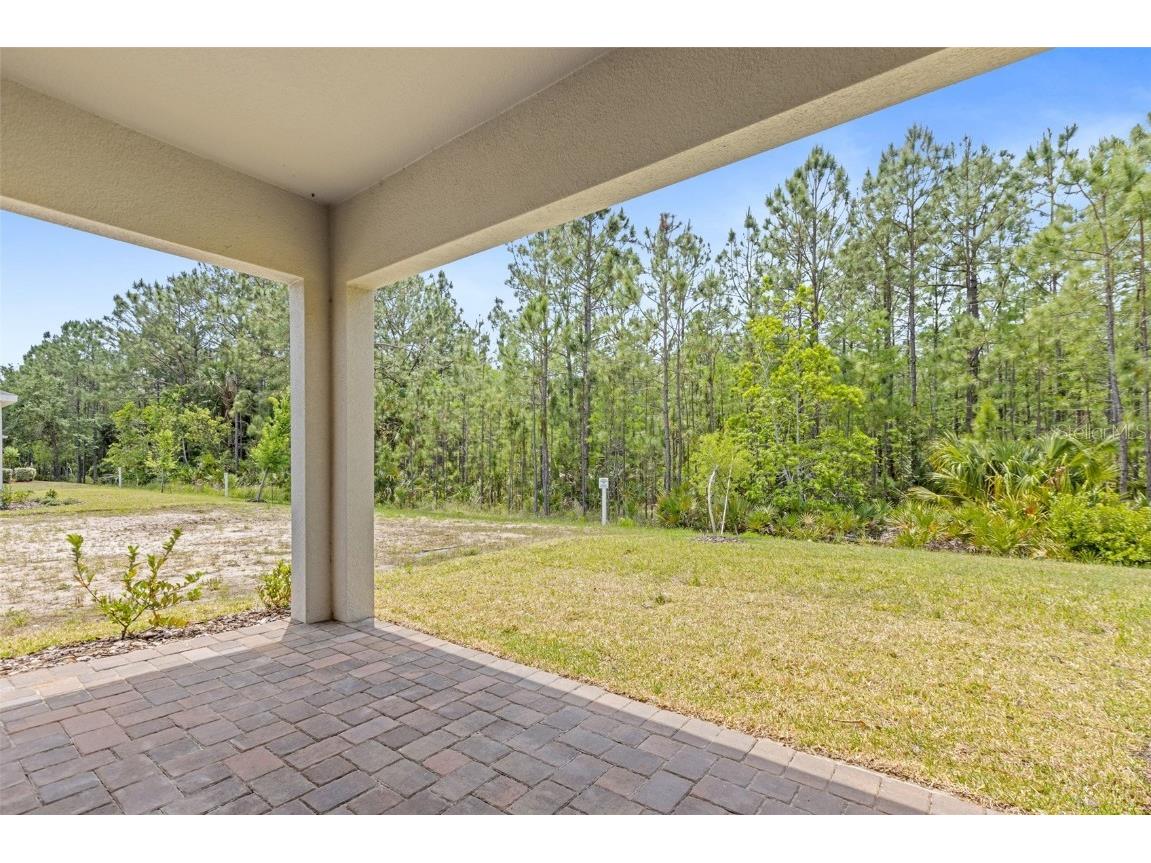 1257 Champions Drive Daytona Beach FL 32124 O6311250 image32