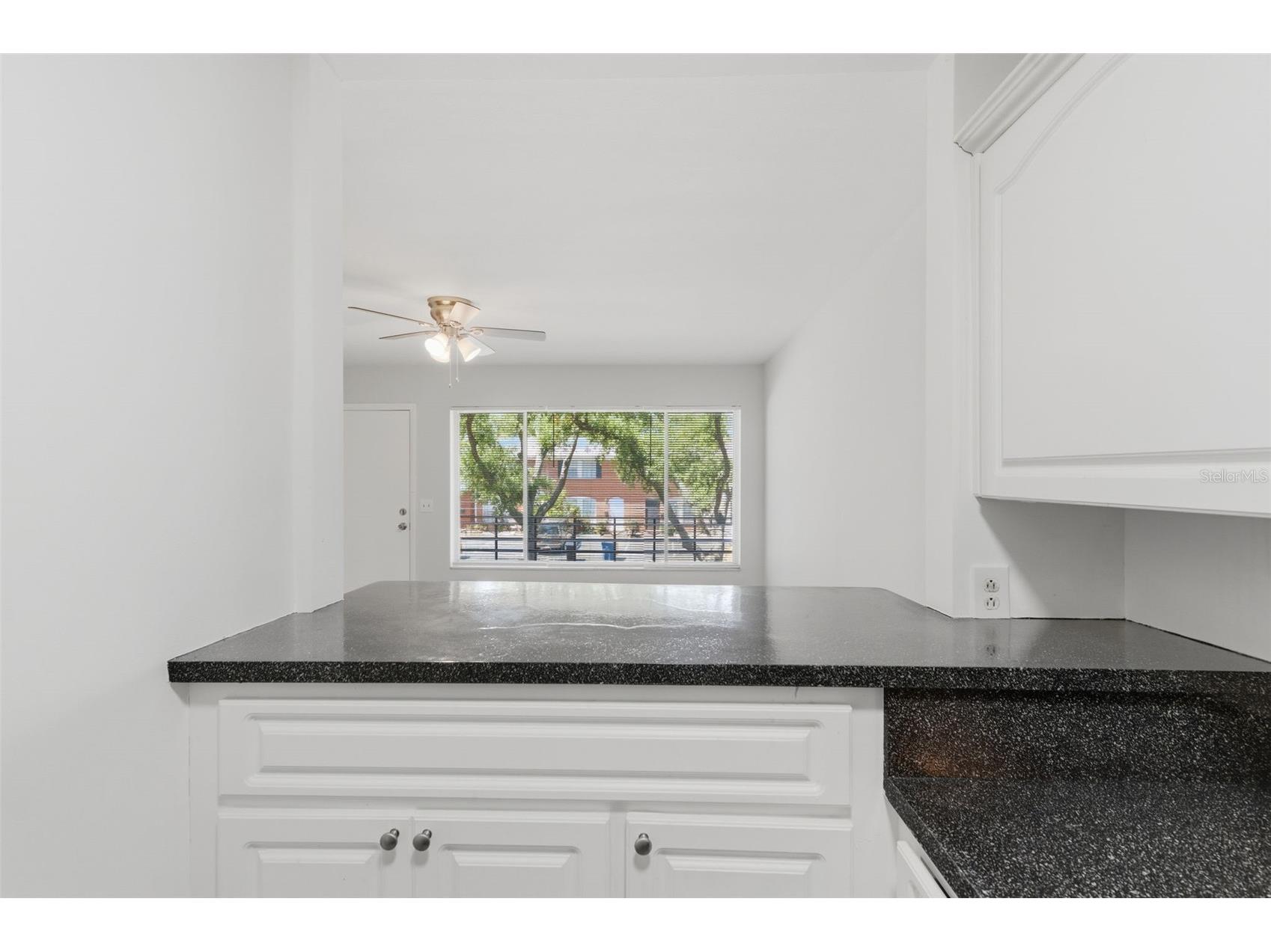 1257 Drew Street #14 Clearwater FL 33755 TB8491536 image11