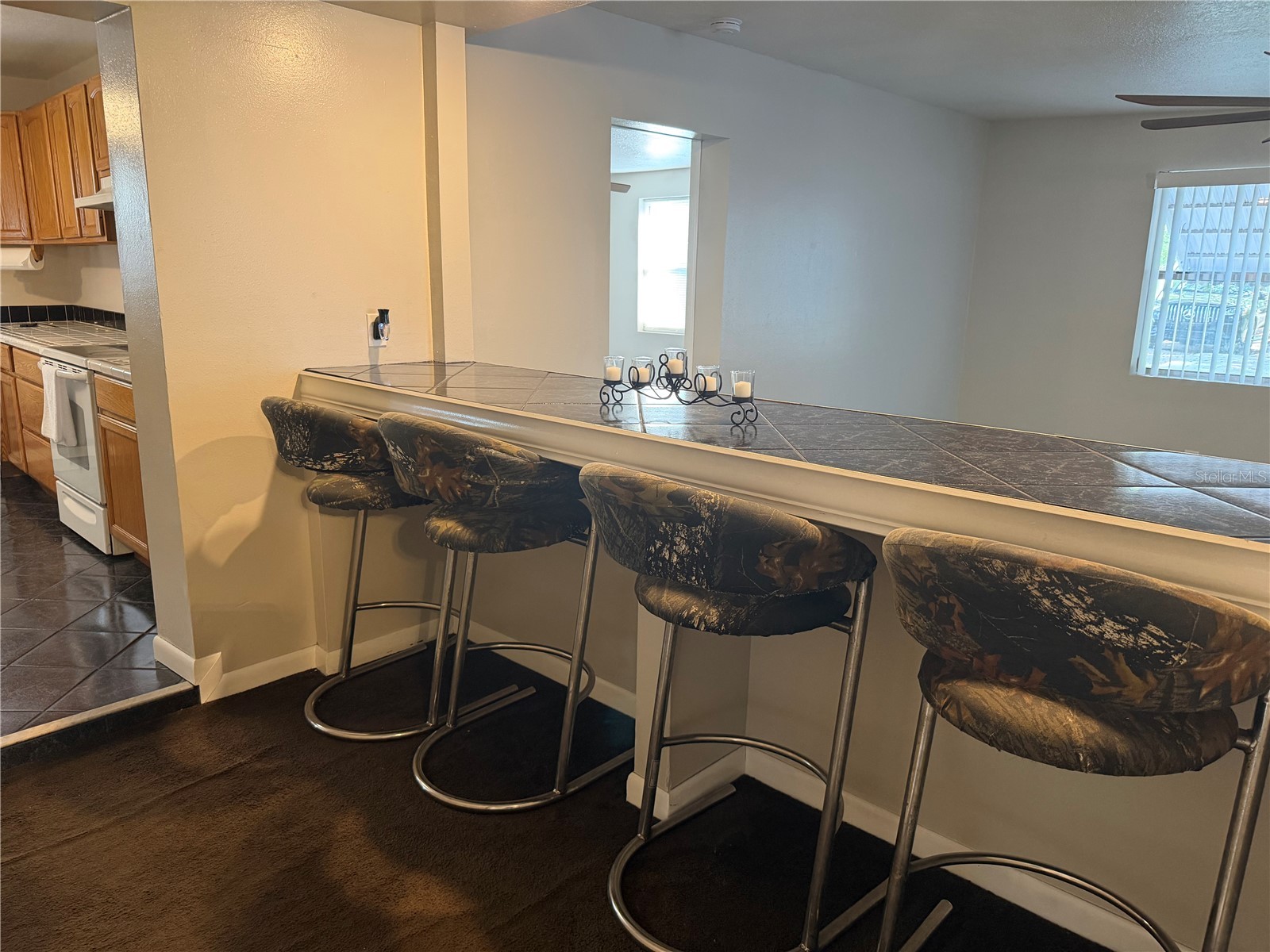 1257 Lynchburg Road Lake Alfred FL 33850 P4938321 image14