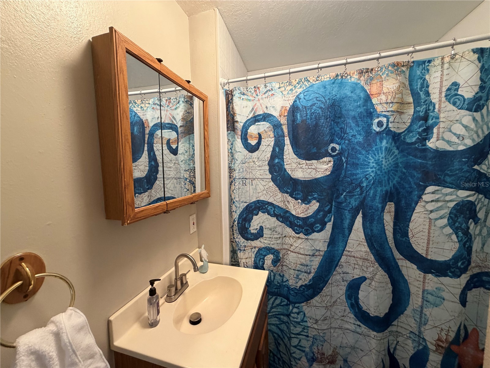 1257 Lynchburg Road Lake Alfred FL 33850 P4938321 image25