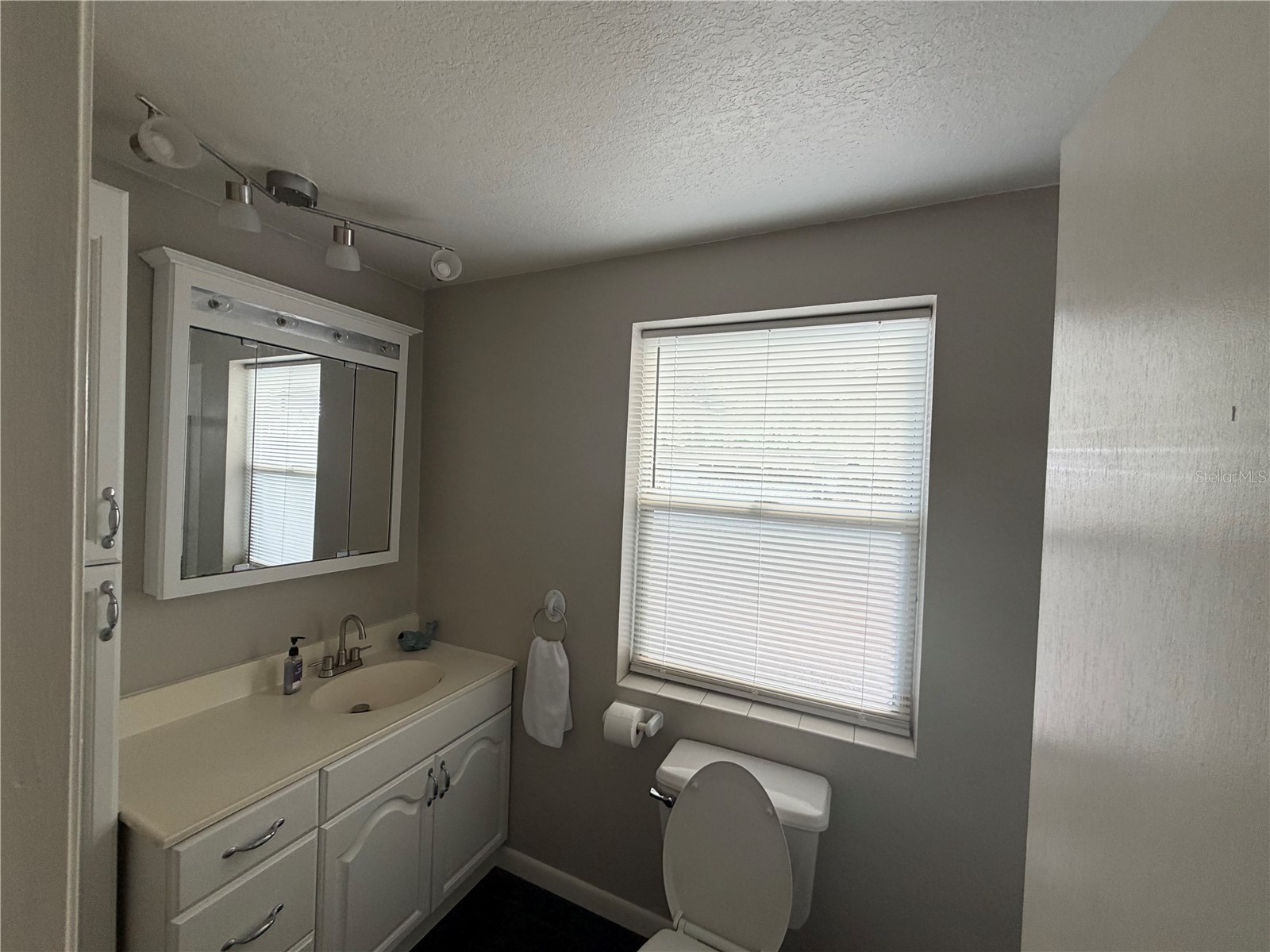 1257 Lynchburg Road Lake Alfred FL 33850 P4938321 image26