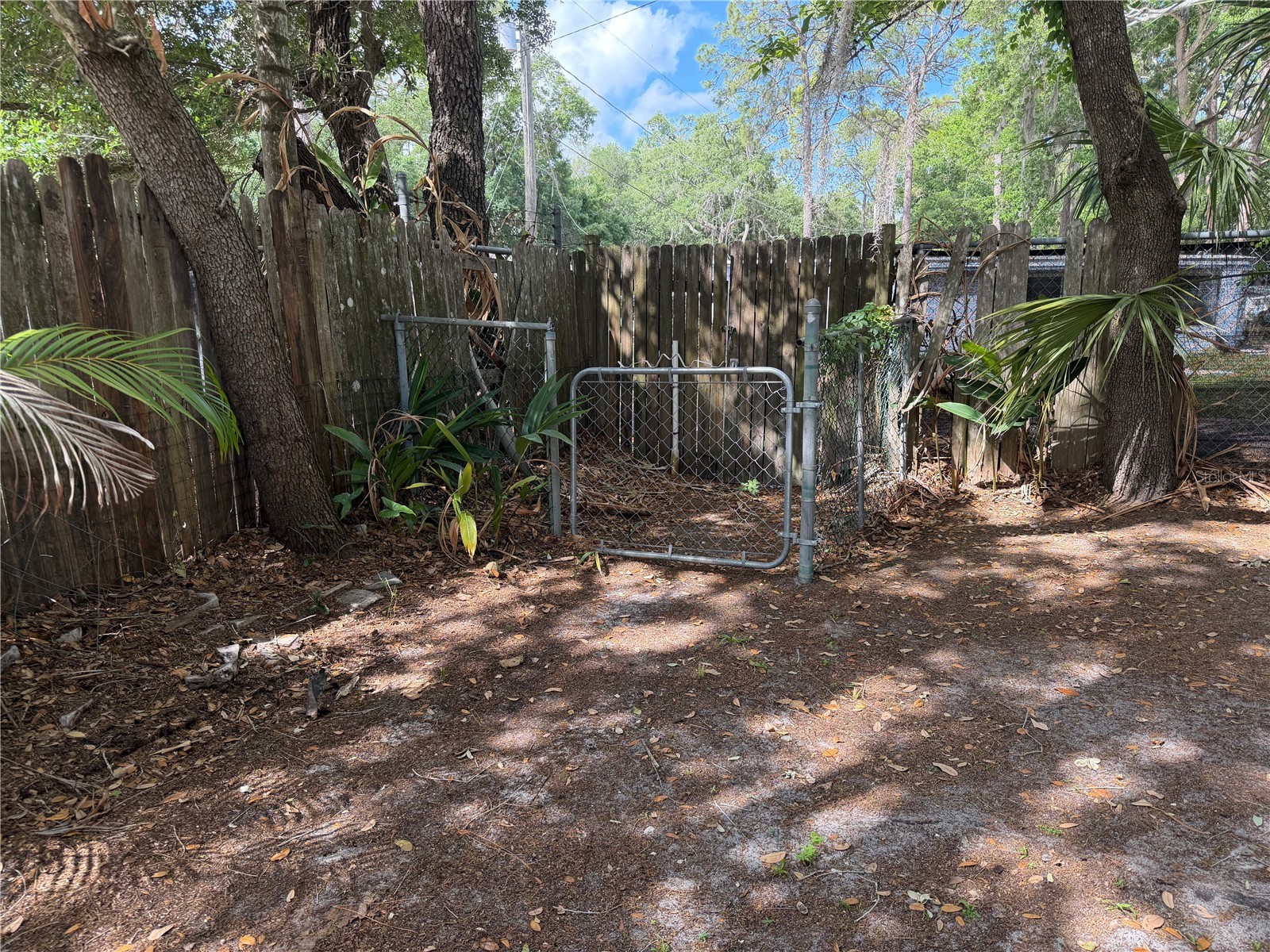 1257 Lynchburg Road Lake Alfred FL 33850 P4938321 image34