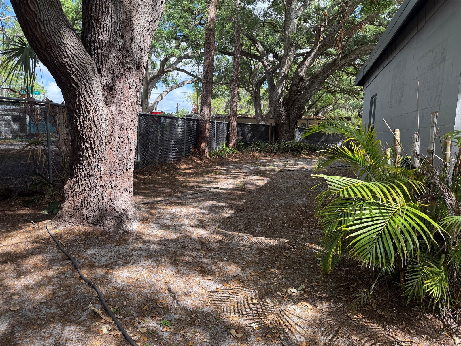 1257 Lynchburg Road Lake Alfred FL 33850 P4938321 image35