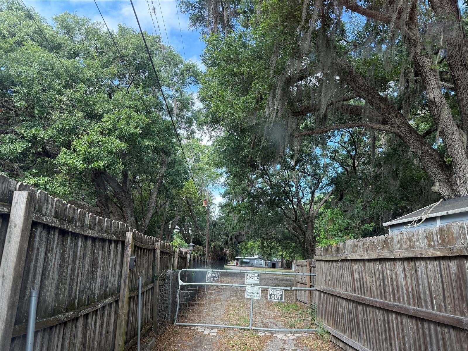 1257 Lynchburg Road Lake Alfred FL 33850 P4938321 image6