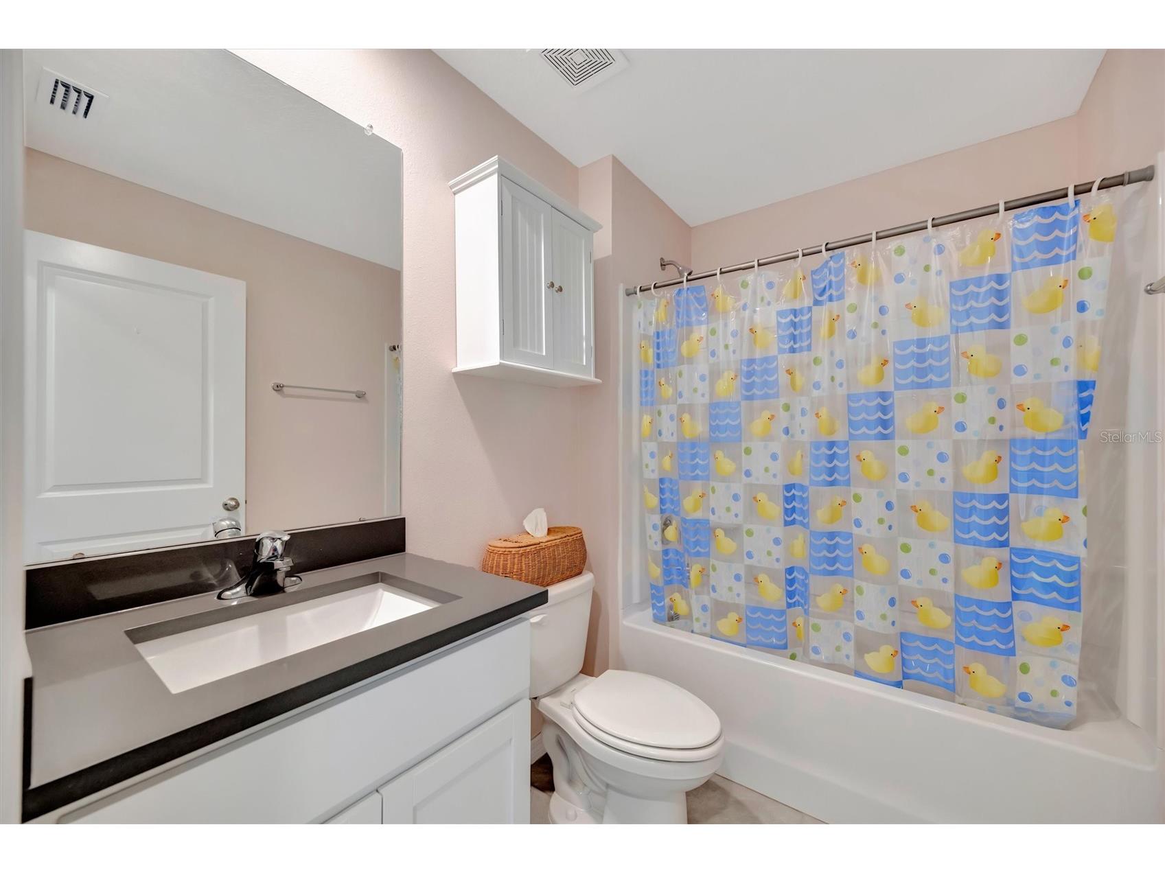 1257 Maritime Hammock Avenue Ruskin FL 33570 A4691355 image62