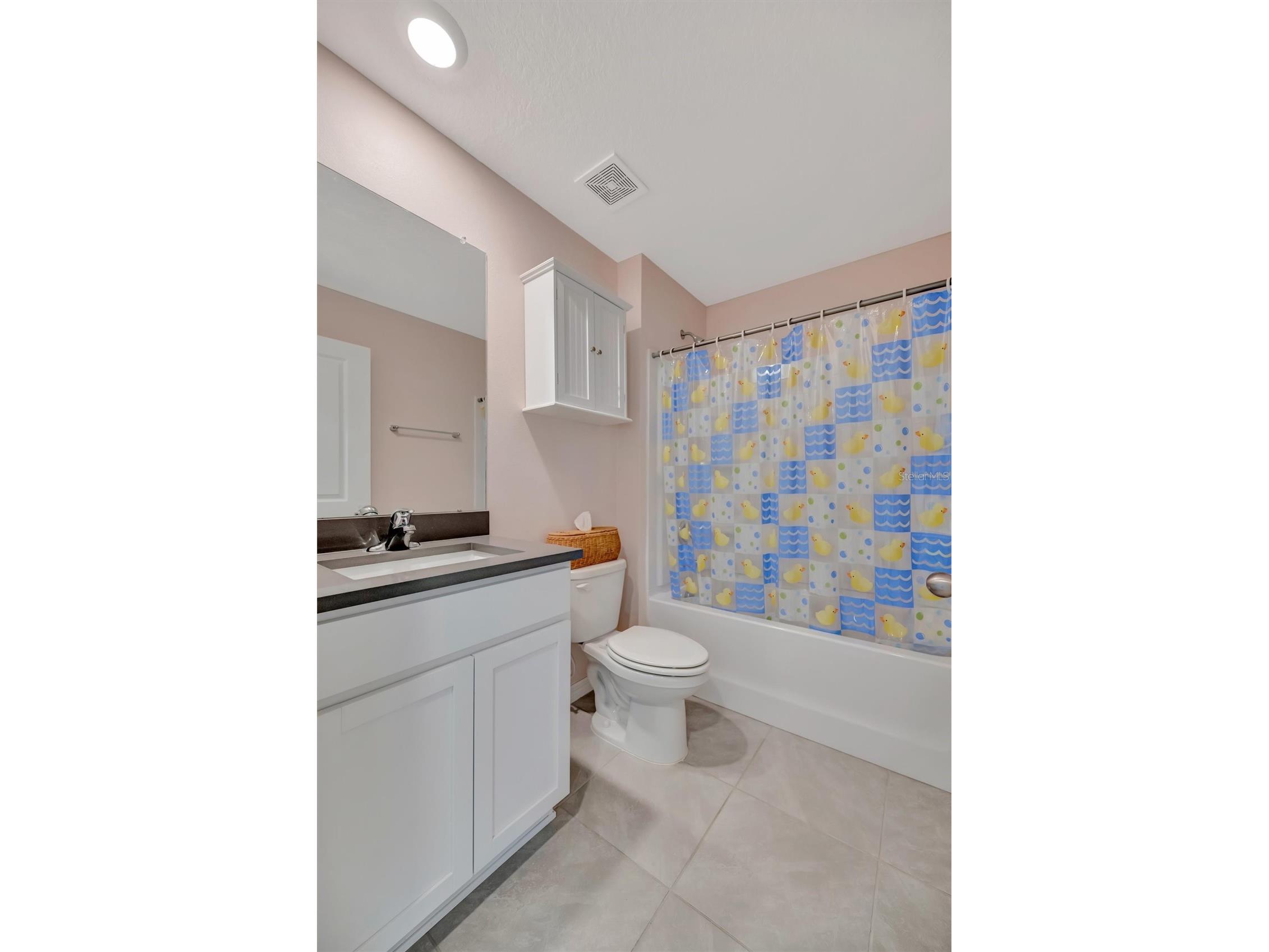 1257 Maritime Hammock Avenue Ruskin FL 33570 A4691355 image63