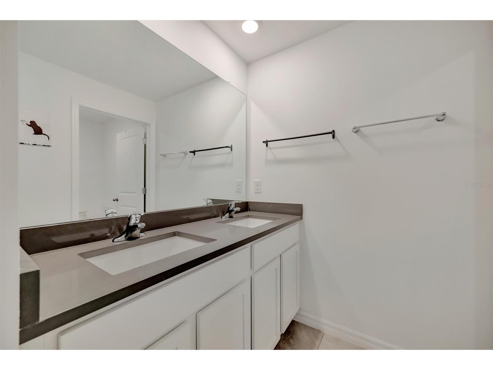 1257 Maritime Hammock Avenue Ruskin FL 33570 A4691355 image72