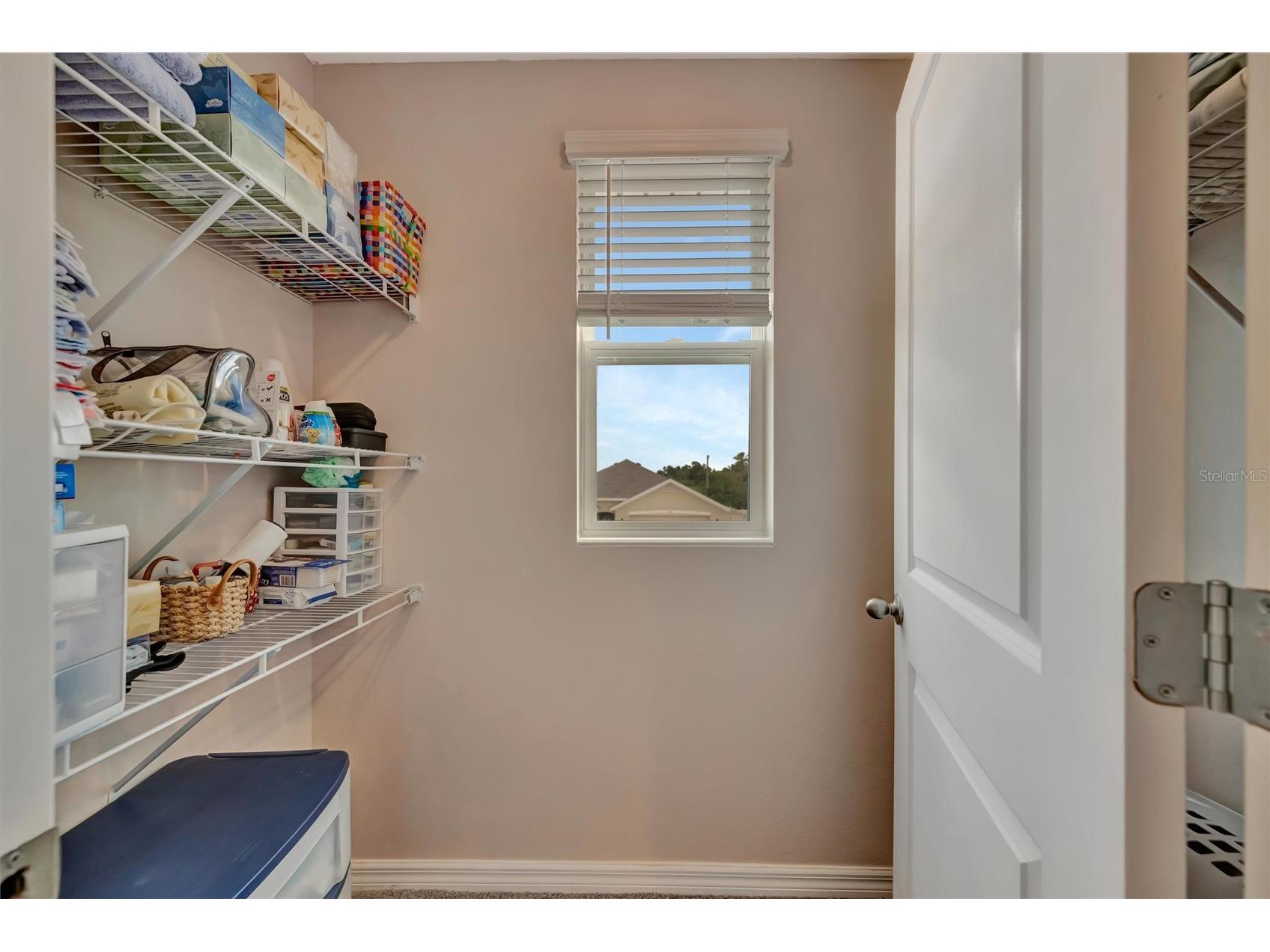 1257 Maritime Hammock Avenue Ruskin FL 33570 A4691355 image83