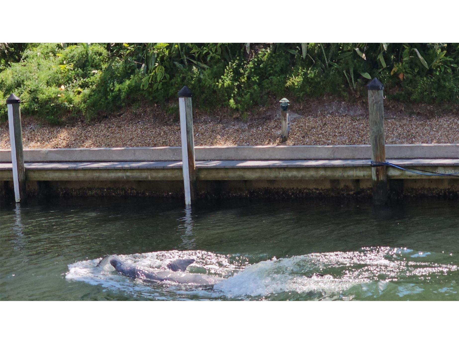 1257 S Portofino Drive #307 Sarasota FL 34242 A4679704 image5