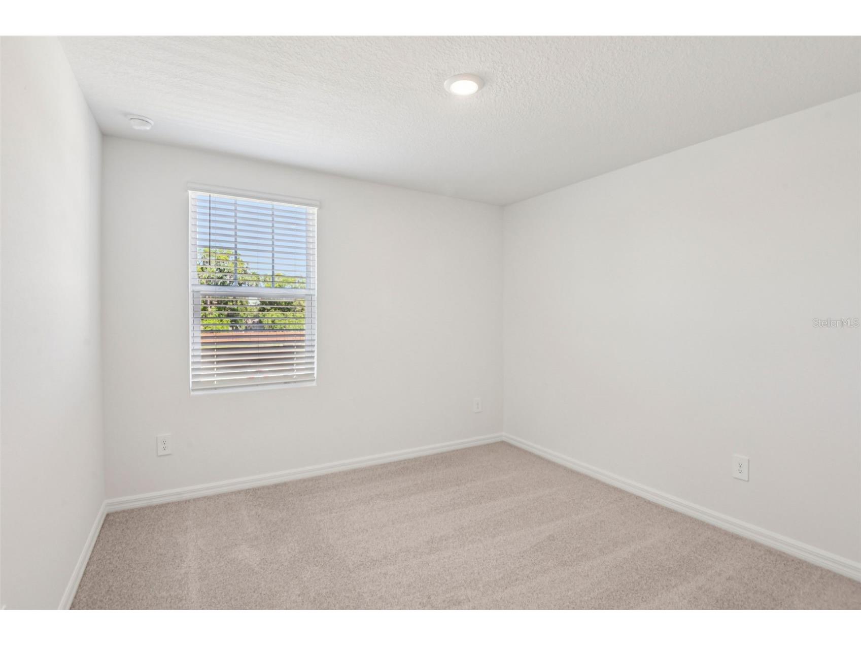 12573 Homeland Drive Dade City FL 33525 TB8474649 image26