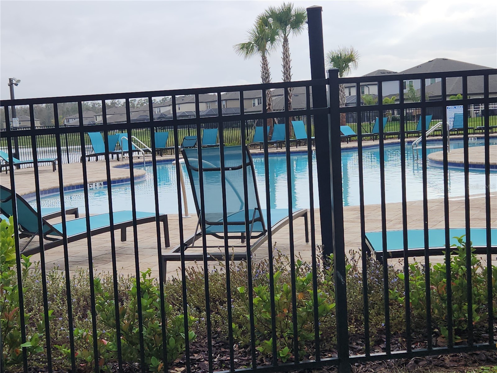 12573 Oak Hill Way Parrish FL 34219 A4692789 image31