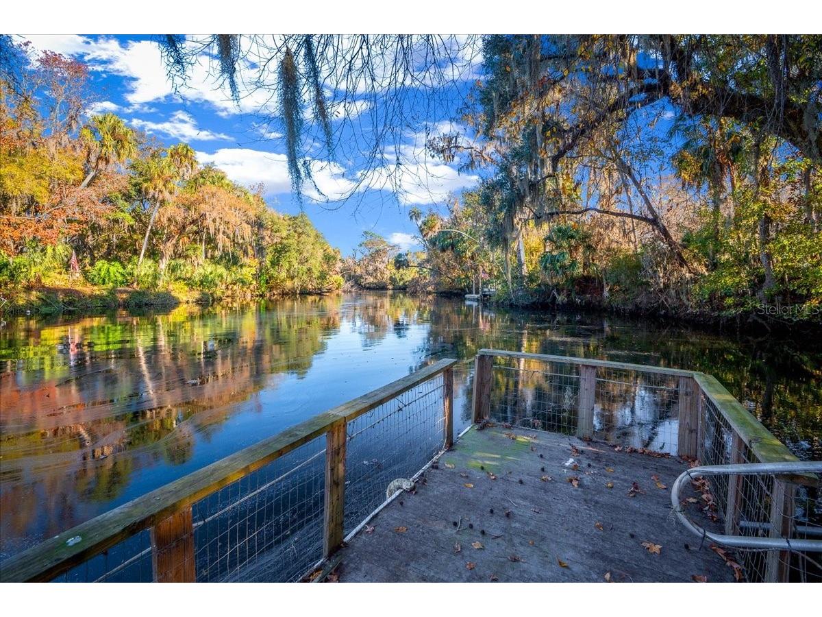 12575 W Foss Groves Path Inglis FL 34449 - WITHLACOOCHEE OM715206 image2