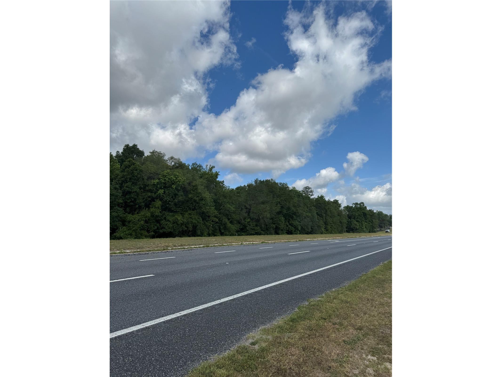 12576 N Us Hwy 27 Ocala FL 34482 OM724083 image3