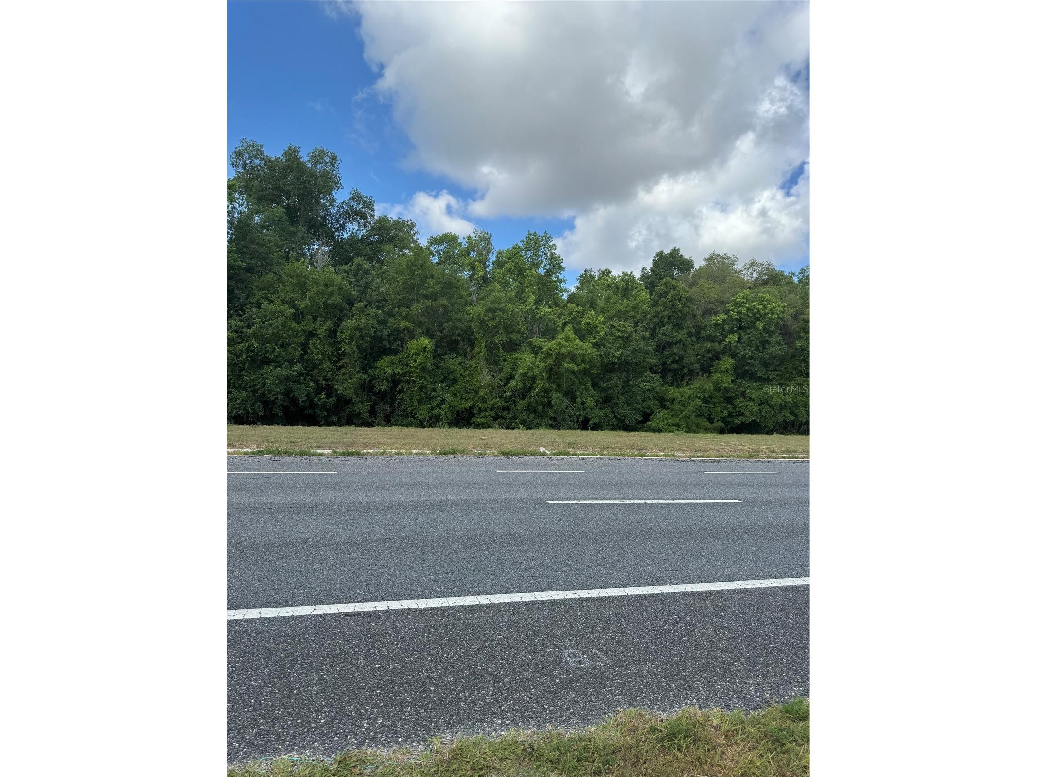 12576 N Us Hwy 27 Ocala FL 34482 OM724083 image4