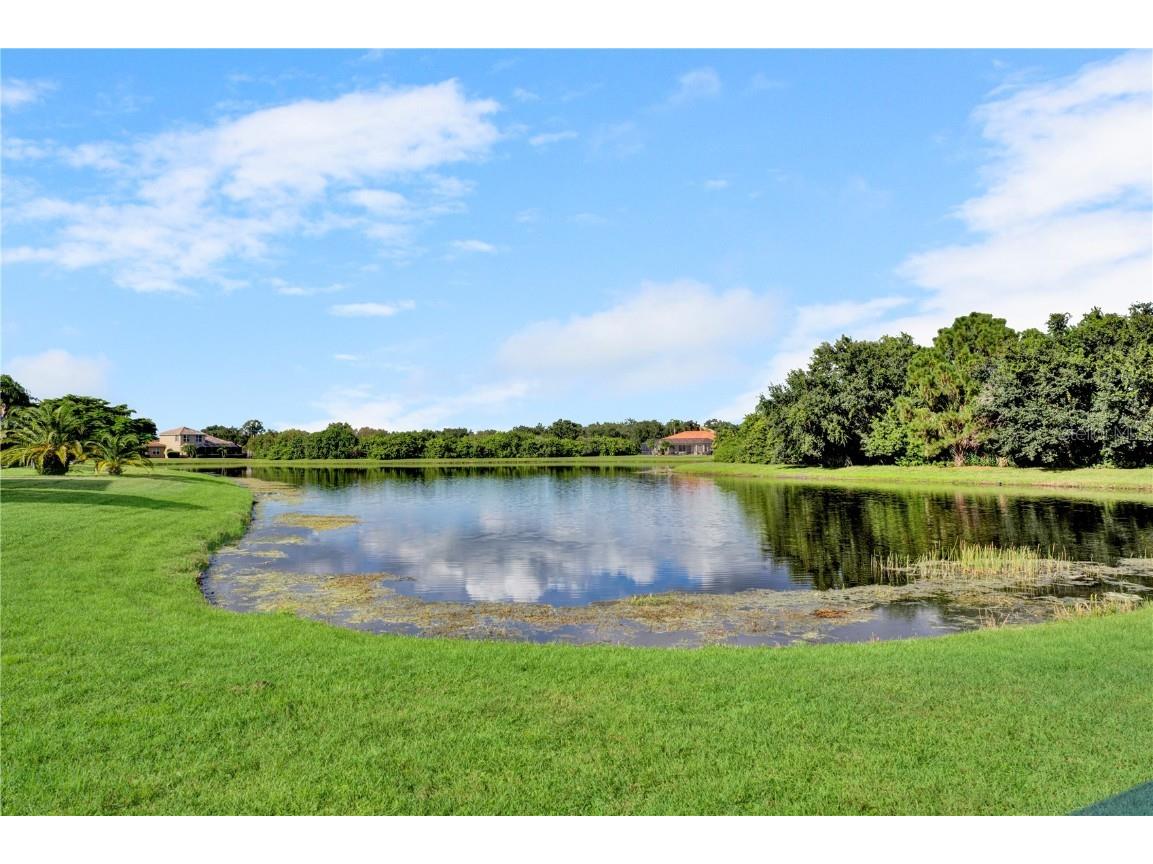 12576 Natureview Circle Bradenton FL 34212 A4666976 image9