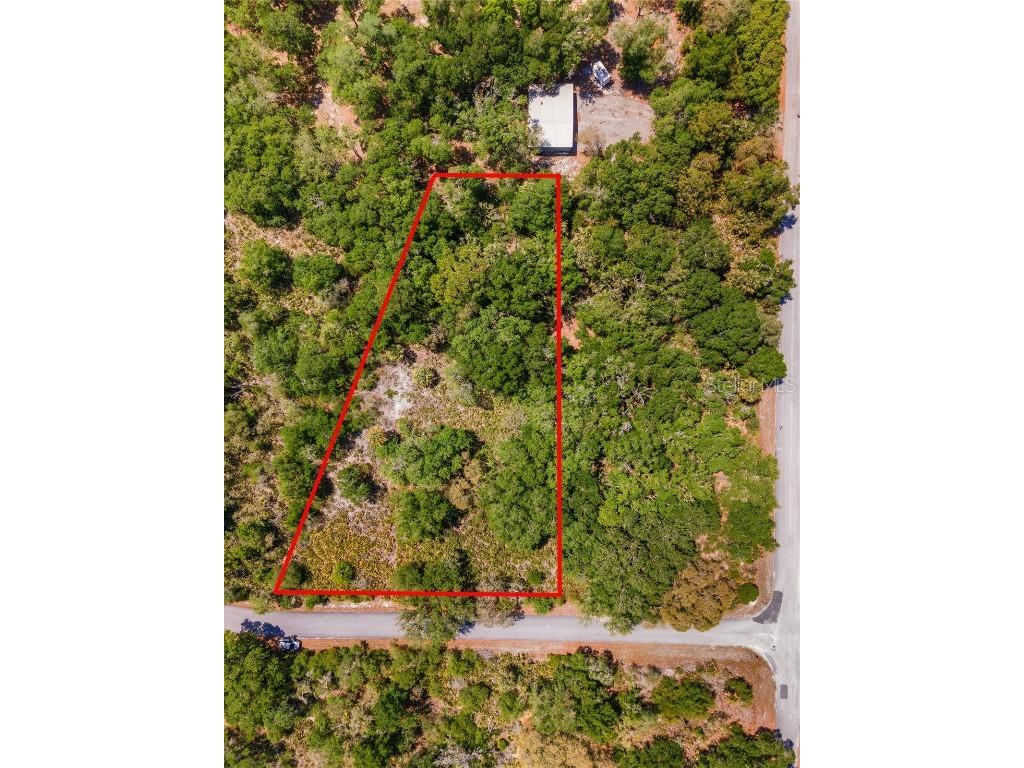 12577 W Rosemary Place Crystal River FL 34428 T3519203 image2