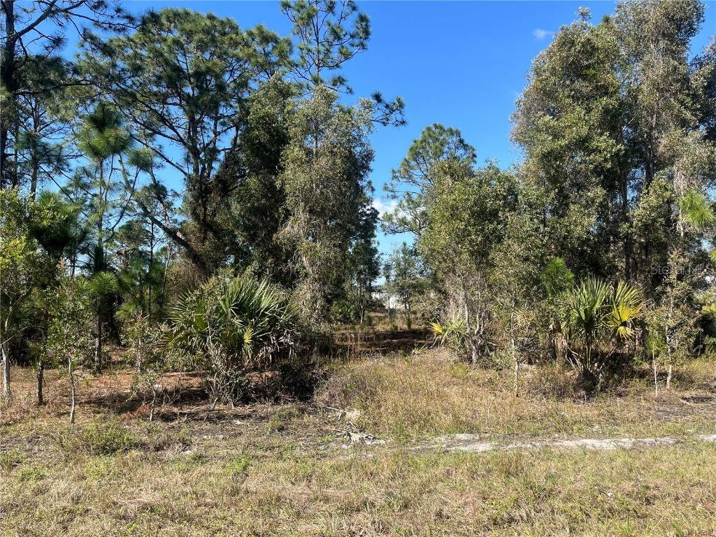 1258 Bowles Avenue Fort Myers FL 33913 OK224856 image1