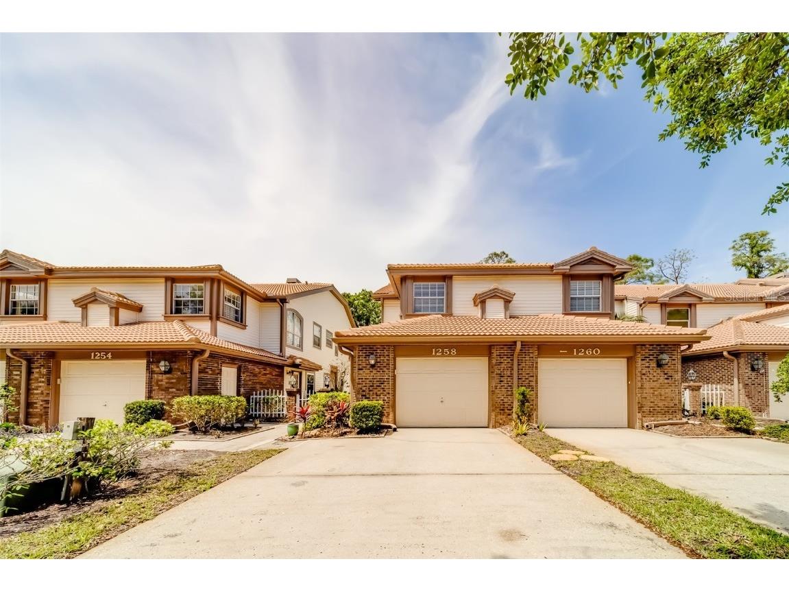 1258 Clays Trail #1258 Oldsmar FL 34677 U8237145 image1