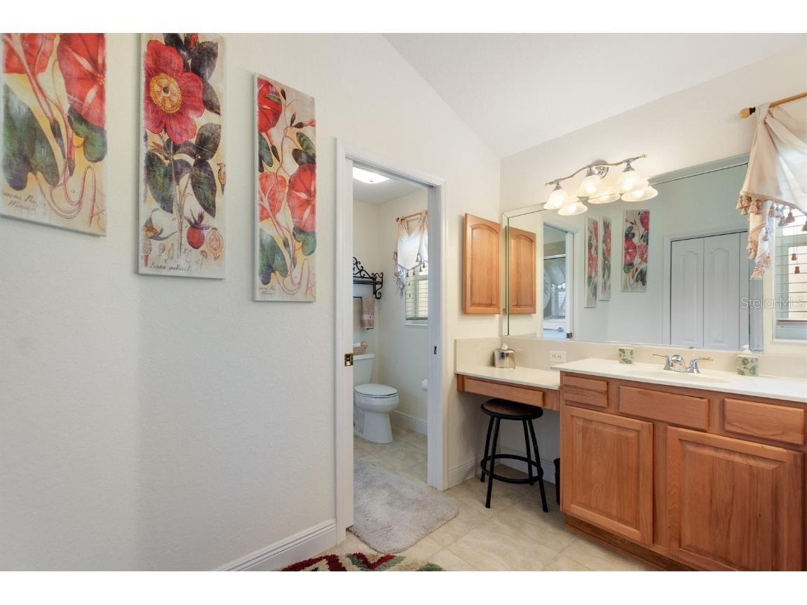 1258 Donalds Place The Villages FL 32162 S5138584 image25