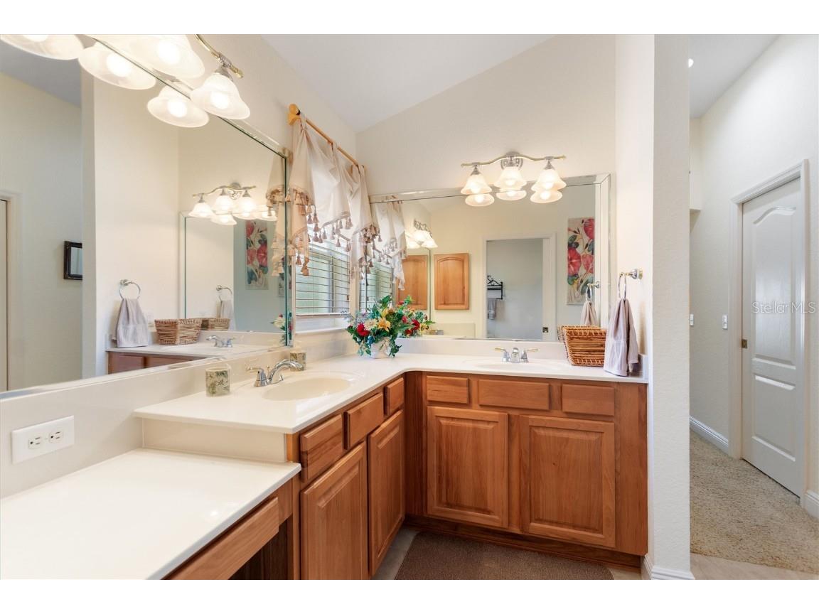 1258 Donalds Place The Villages FL 32162 S5138584 image26