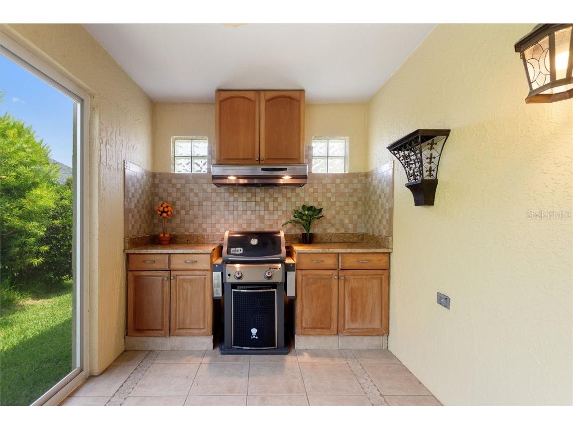 1258 Donalds Place The Villages FL 32162 S5138584 image30