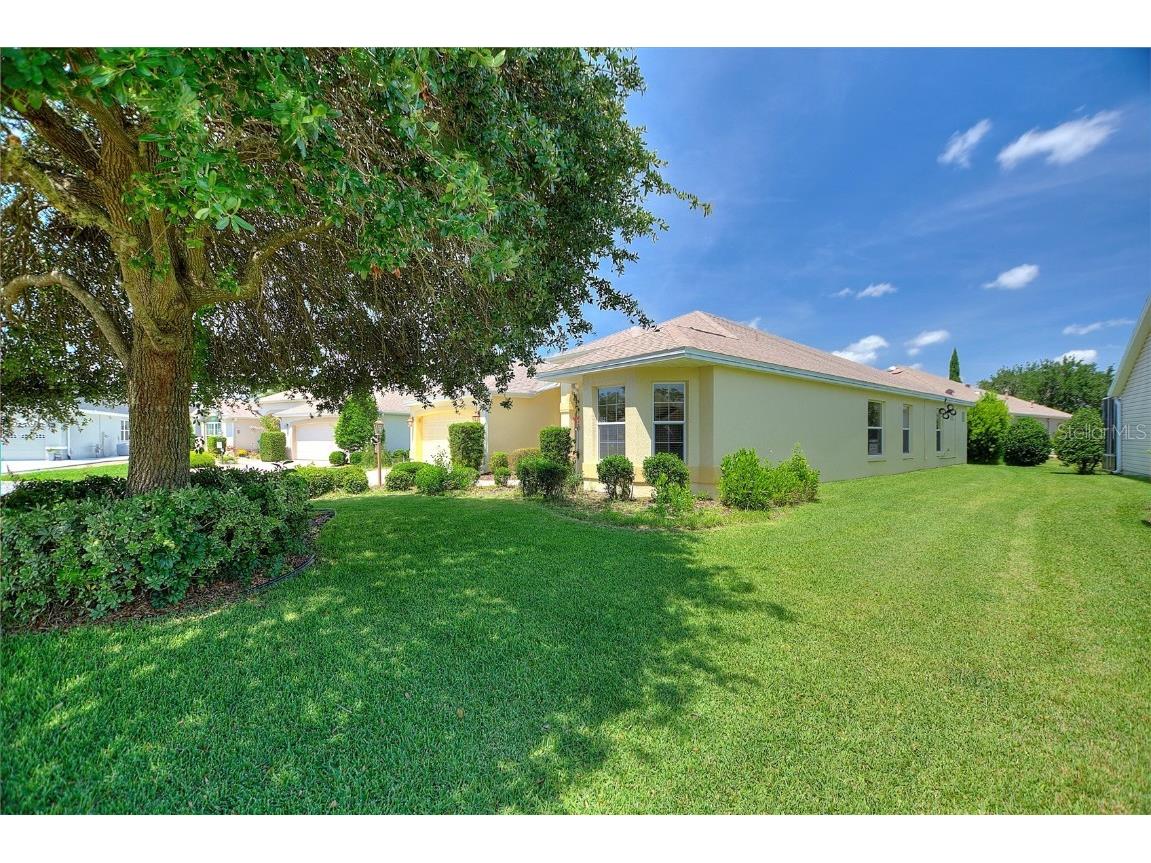 1258 Donalds Place The Villages FL 32162 S5138584 image36