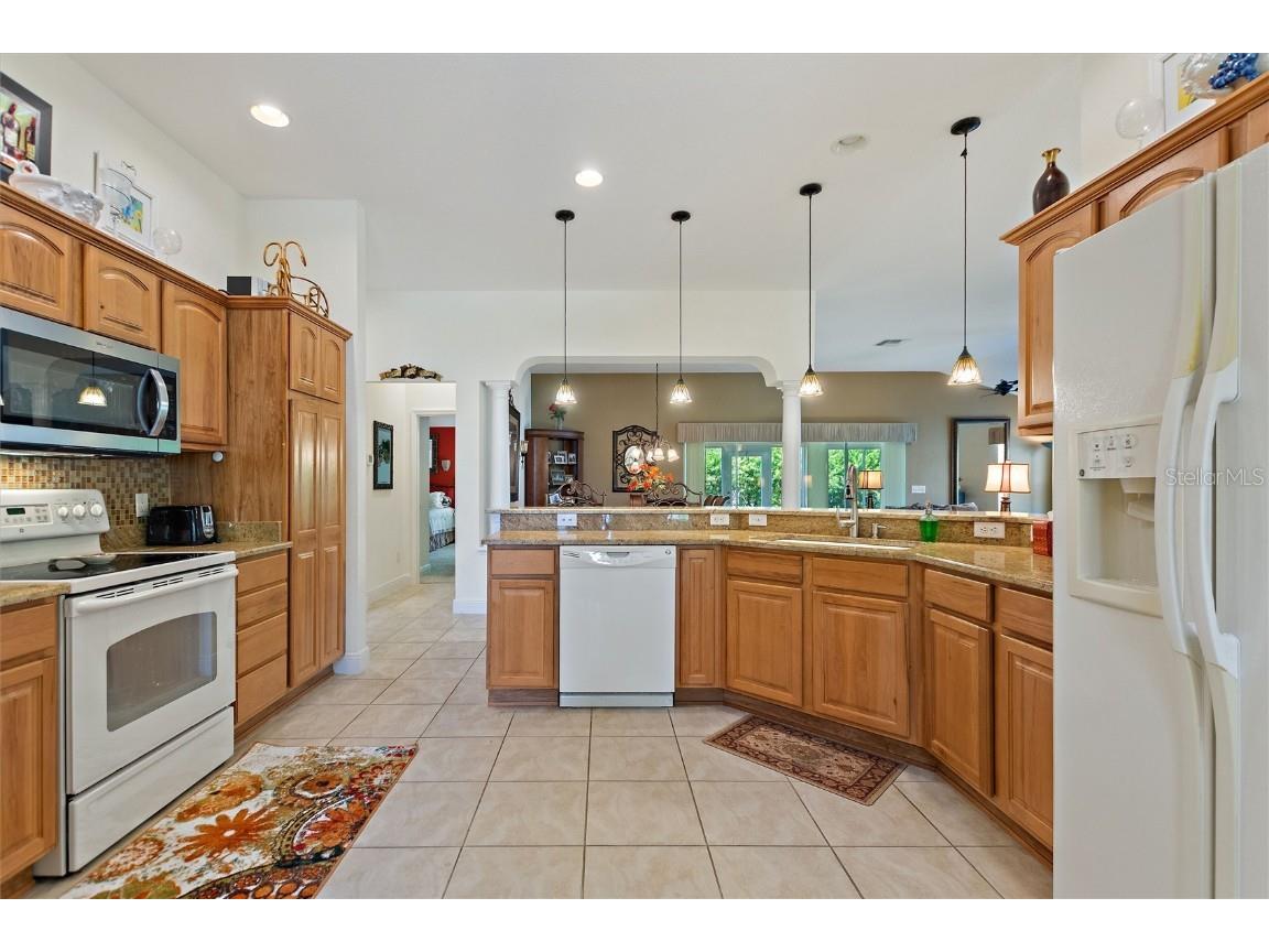 1258 Donalds Place The Villages FL 32162 S5138584 image4